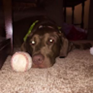 Meet your Posher, Alexandria